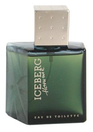 Iceberg Homme (Eau de Toilette)