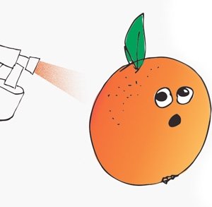 The Spray Tan Incident