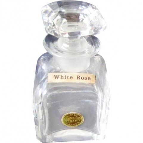 White Rose