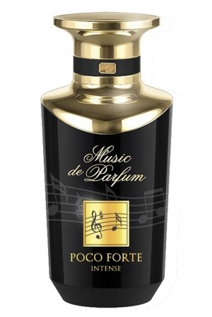 Pocco Forte Intense