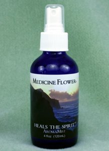 Heals the Spirit™