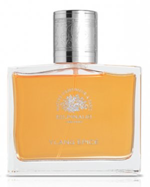 Ylang Épicé