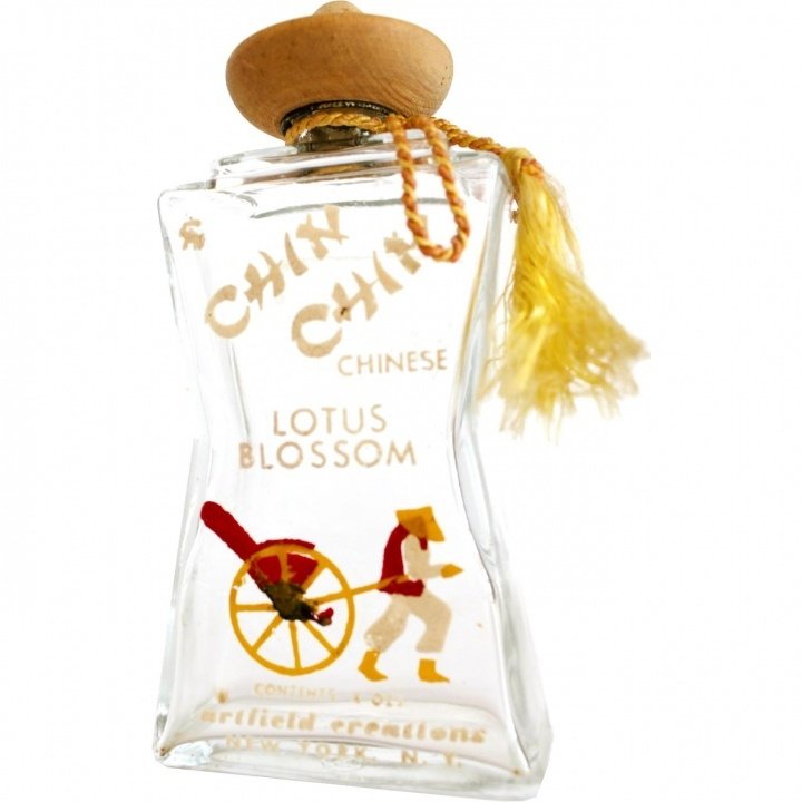 Chin Chin - Chinese Lotus Blossom