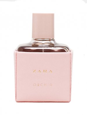 Orchid
