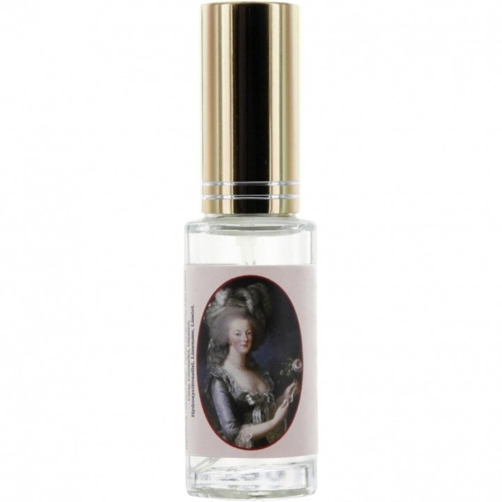 Marie Antoinette - Rose