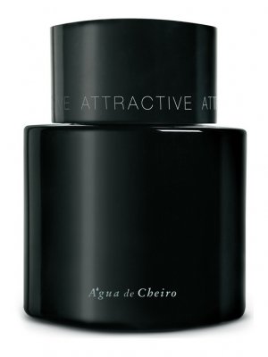 Attractive Masculino