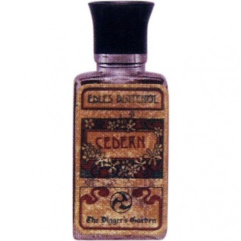 Cedern