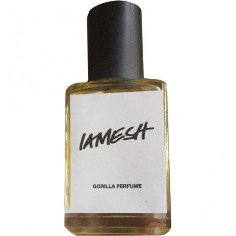 Iamesh