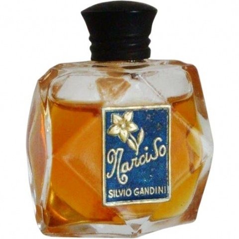 Narciso