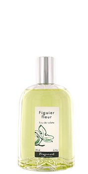 Figuier Fleur