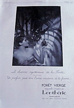 Forêt Vierge