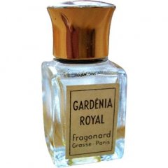 Gardénia Royal