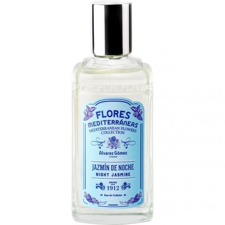 Flores Mediterráneas: Jazmín de Noche