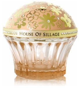 Whispers of Enlightenment