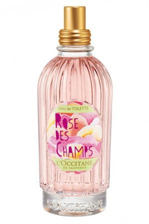Rose des Champs