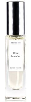 Rose blanche
