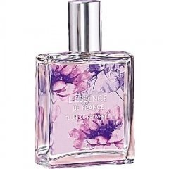 L'Essence de France: Fleur de Provence