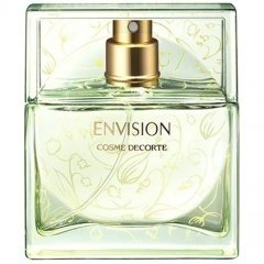 Envision IV