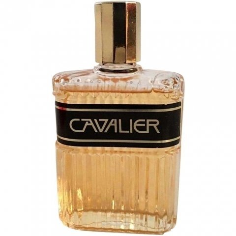 Cavalier (Cologne)
